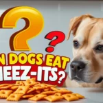 Can Dogs Eat Cheez-Its? | Are They a Safe Snack?