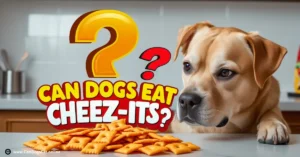 Can Dogs Eat Cheez-Its? | Are They a Safe Snack?