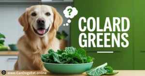 Can Dogs Eat Collard Greens Benefits & Risks Explained