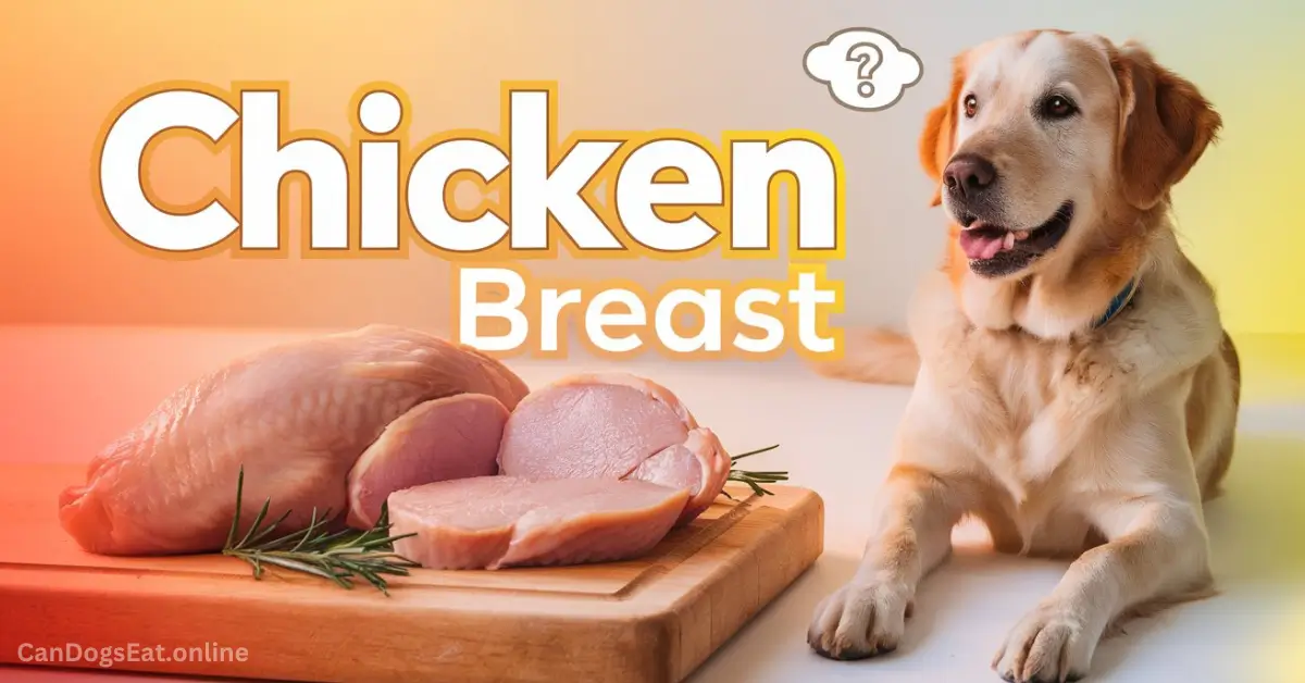 Can Dogs Eat Raw Chicken Safety, Risks & Benefits