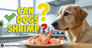 Can Dogs Eat Shrimp Find the Truth About Shrimp for Dogs