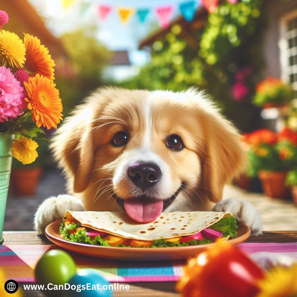 Can Dogs Eat a Tortilla Is It Safe or Harmful