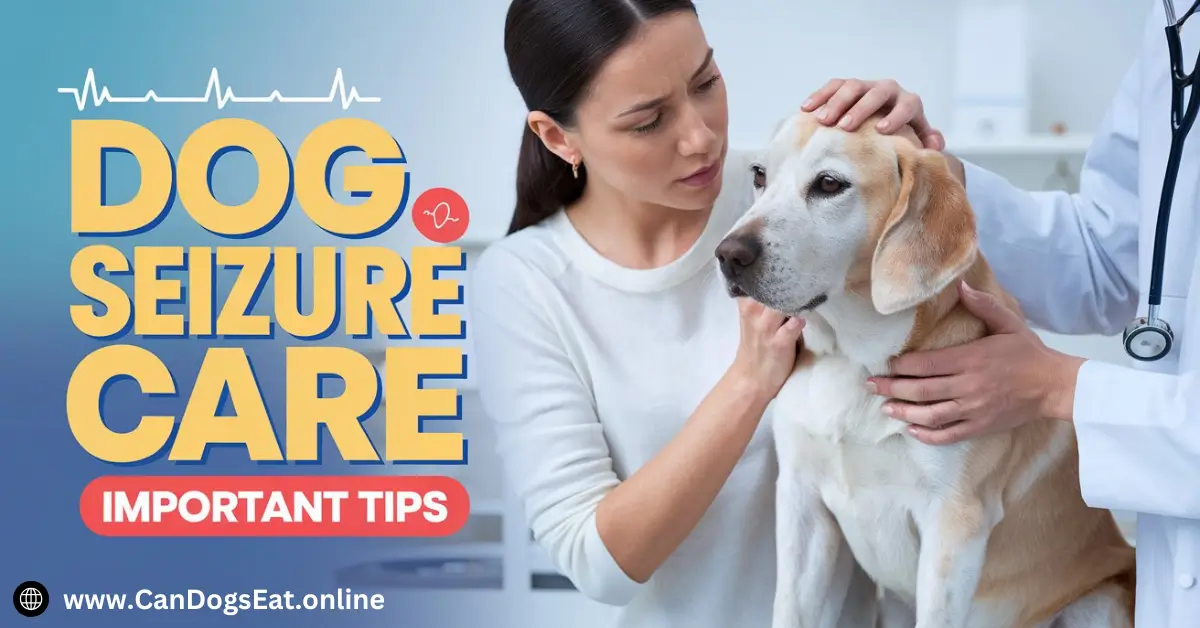 Dog Seizure Care Important Tips for Canine Epilepsy