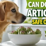 Can Dogs Eat Artichoke Hearts? Safe or Not?