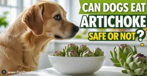 Can Dogs Eat Artichoke Hearts? Safe or Not?