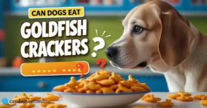 Can Dogs Eat Goldfish Crackers? Are They Safe or Harmful?