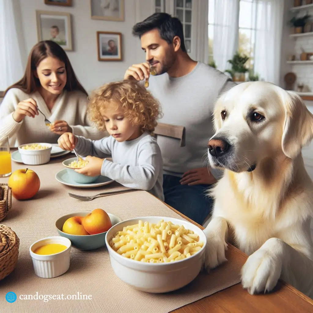 Can Dogs Eat Mac n Cheese Everything You Must Know