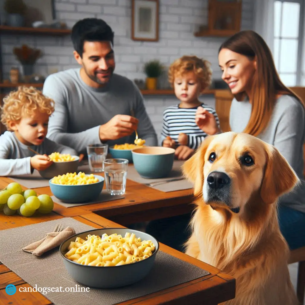 Can Dogs Eat Mac n Cheese Everything You Must Know